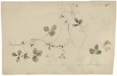 Studieblad met vlinderbloem
