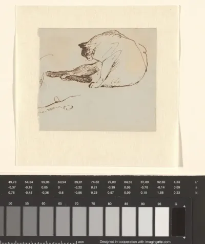Studieblad met zich krabbende kat
