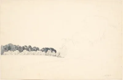 Studieblad. T.v. et skovbryn, t.h. blyantskrads (trækupler).