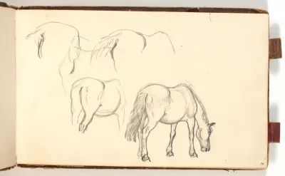 Studier af en drikkende hest