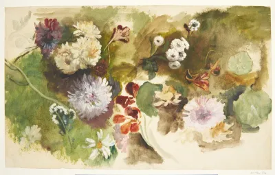 Studier af forskellige blomster