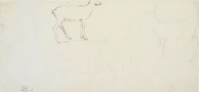 Studier af hjorte o.a.