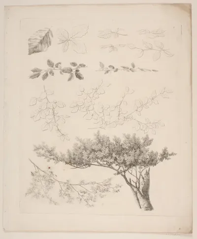"Studier efter Naturen med Hensyn til Landskabstegning af S.H. Petersen", nr. 1