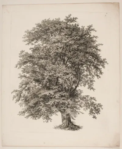"Studier efter Naturen med Hensyn til Landskabstegning af S.H. Petersen", nr. 2