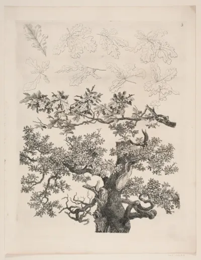 "Studier efter Naturen med Hensyn til Landskabstegning af S.H. Petersen", nr. 5