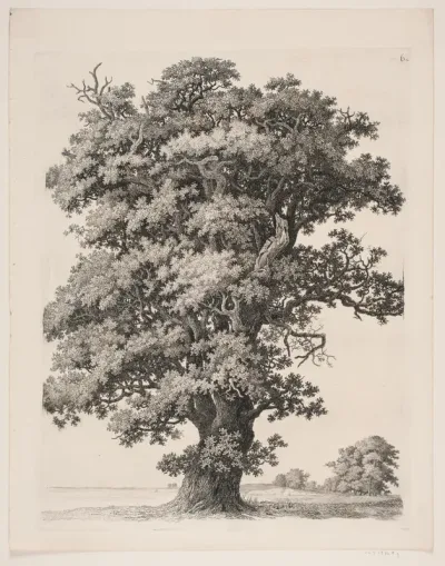 "Studier efter Naturen med Hensyn til Landskabstegning af S.H. Petersen", nr. 6