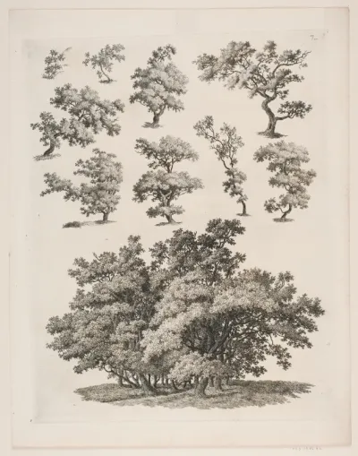 "Studier efter Naturen med Hensyn til Landskabstegning af S.H. Petersen", nr. 7