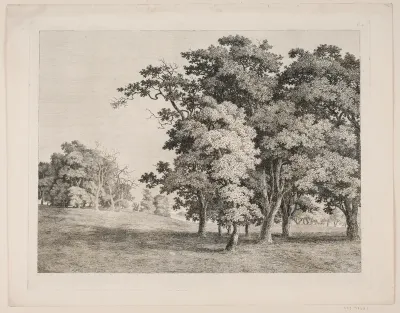 "Studier efter Naturen med Hensyn til Landskabstegning af S.H. Petersen", nr. 8