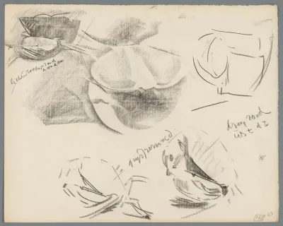 Studies, mogelijk van krabben