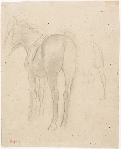 Studies of a Horse
