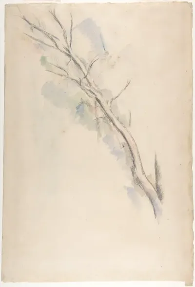 Studies of a tree (recto and verso)