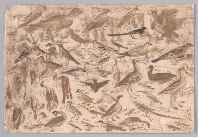 Studies of Birds (recto); Village Scene with Skaters (verso)