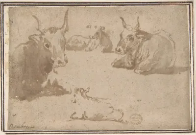 Studies of Cattle