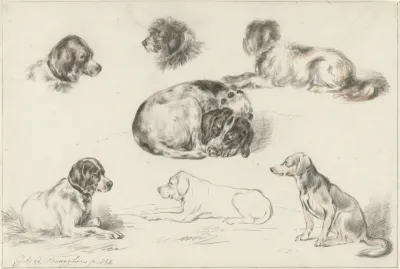 Studies of Dogs