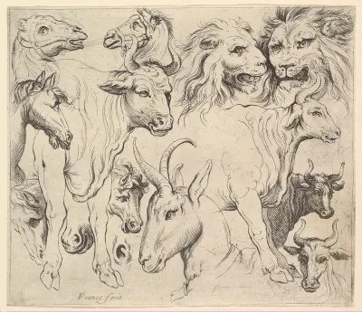 Studies of Heads