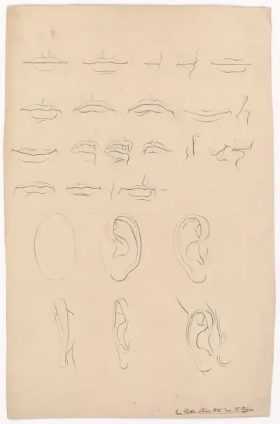 Studies of Lips and Various Ears