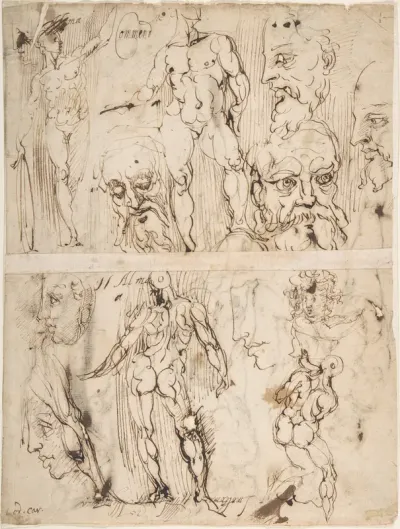 Studies of Nudes and Human Heads (recto and on the verso)