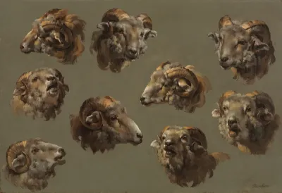 Studies of Ram Heads