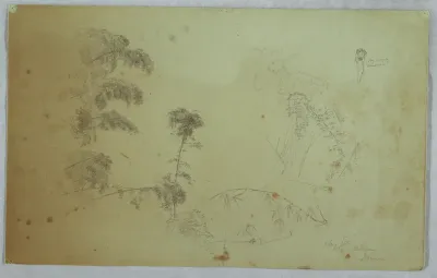 Studies of Trees with Details of Bamboo and a Small Detail of a Man Carrying Bananas on His Head, Bellevue, Jamaica, August