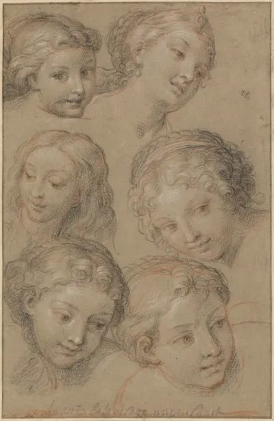 Studies of Women's Heads
