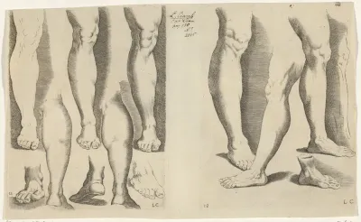 Studies van benen
