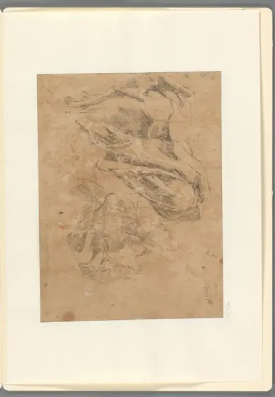 Studies van benen