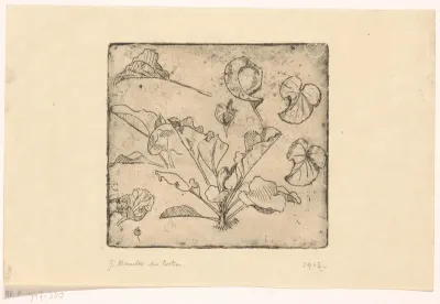 Studies van bladeren