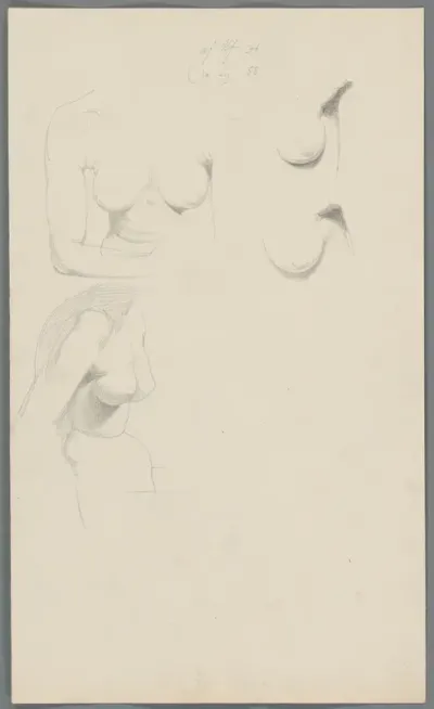 Studies van borsten