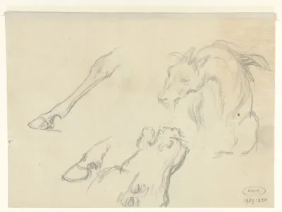 Studies van dierenkoppen en poten