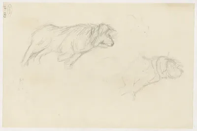 Studies van een hond