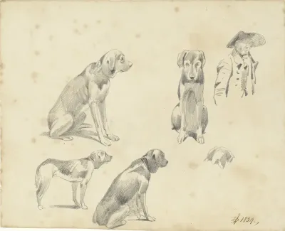 Studies van een hond