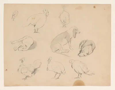 Studies van een hond en kalkoenen