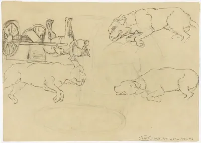Studies van een hond en paard met kar