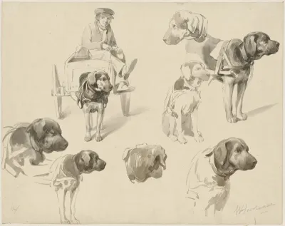 Studies van een hondenkar en een hond