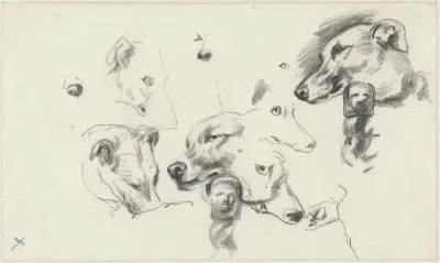 Studies van een hondenkop