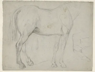 Studies van een paard