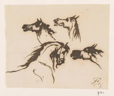 Studies van een paard