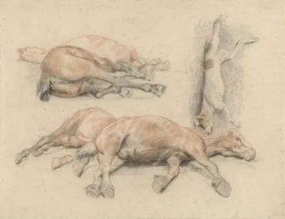 Studies van een paardenkadaver en een dode opgehangen hond