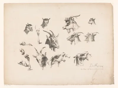 Studies van geiten