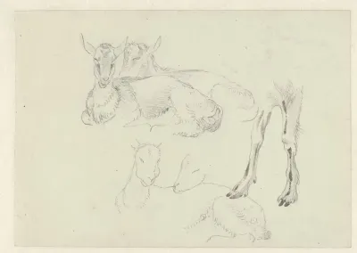 Studies van geiten