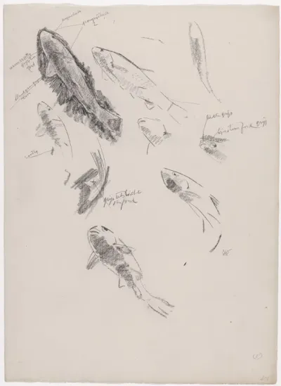 Studies van goudwinden