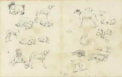 Studies van honden