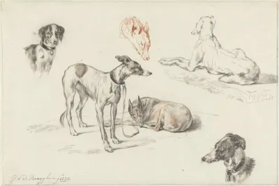 Studies van honden