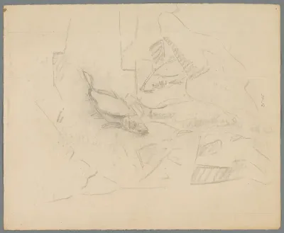 Studies van karpers