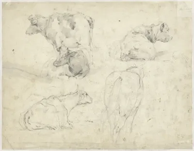 Studies van koeien en een paard