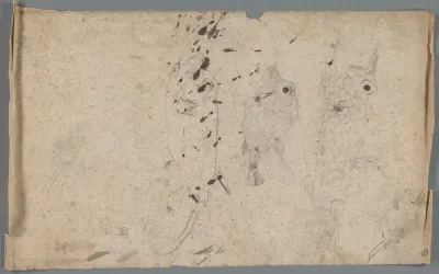 Studies van koffervissen