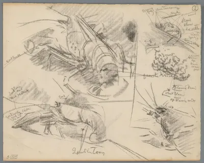 Studies van kreeften