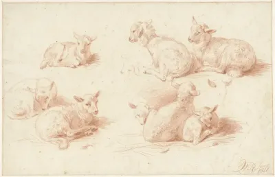 Studies van lammetjes
