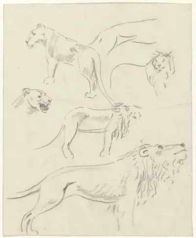Studies van leeuwen