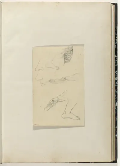 Studies van lichaamsdelen